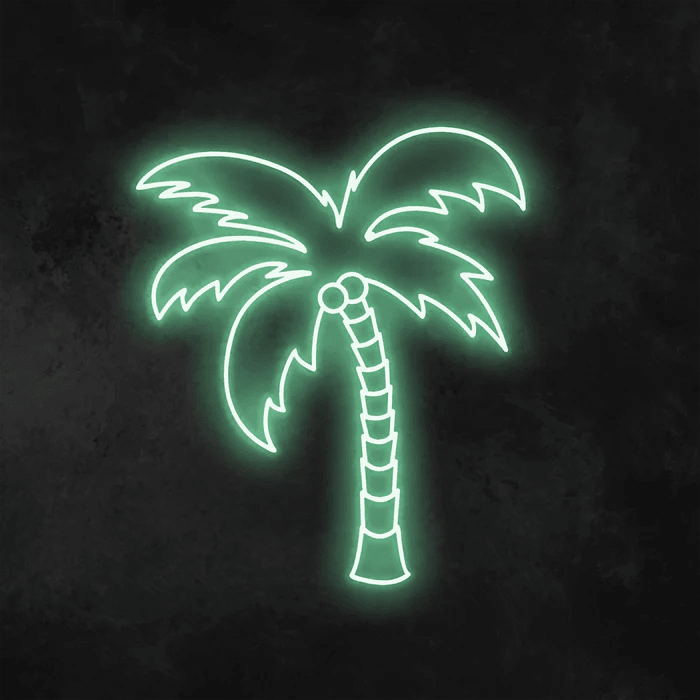 palma Neon - Skizzografico