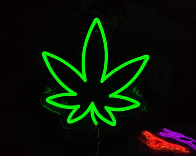 canapa neon - Skizzografico