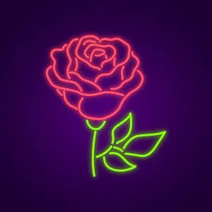 Rosa Neon - Skizzografico
