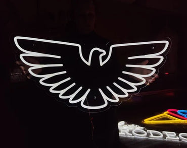 aquila neon - Skizzografico